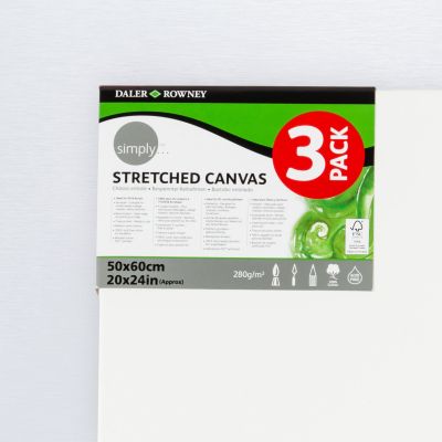 Daler Rowney Artist Canvas